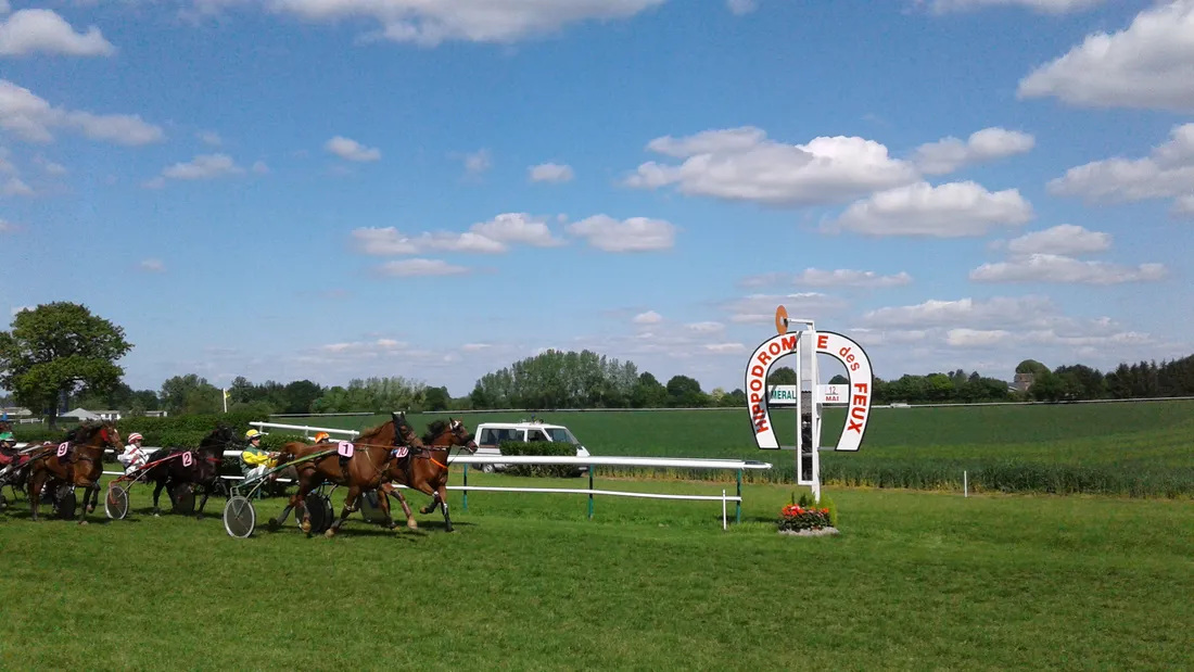 Hippodrome Méral - Trot